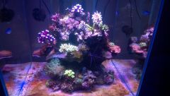 WP 20160121 002 (Medium)