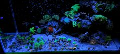 Moje 250l oceanu