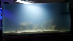 Dzień 9 - Zakwit powoli ustepuje