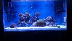 Dzień 13 - po przenosinach