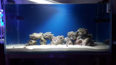 Dzien 11 - Jeszcze troszeczke