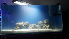 Dzień 10 - zakwit ustępuje coraz szybciej