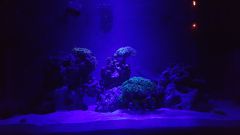 Dzień 14 - o poranku