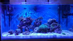 Dzień 22 - godzinę po włączeniu światła