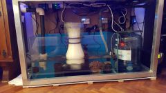 Dzień 50 - Nowy element systemu