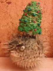 kto powiedział że to choinka ma być ubrana ? :)