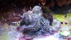 20151214 185938