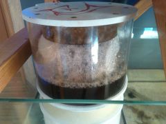 Aquaspec White - skimm 200