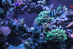 _MG_2269.JPG