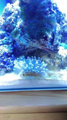 Mój Podwodny Świat