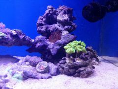 20160217 173104 (Kopiowanie)