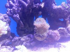 20160218_182656 (Kopiowanie).jpg