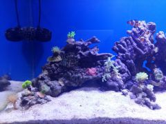 20160217 173113 (Kopiowanie)