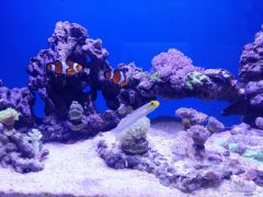 20160217 173108 (Kopiowanie)