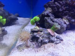 20160217 172851 (Kopiowanie)