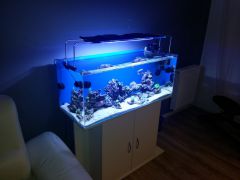 20160217 172947 (Kopiowanie)