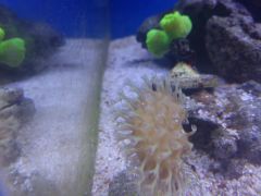 20160218_182710 (Kopiowanie).jpg