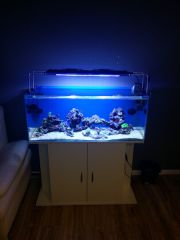 20160217 172956 (Kopiowanie)