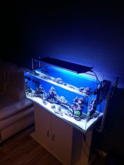 20160217_173208 (Kopiowanie).jpg