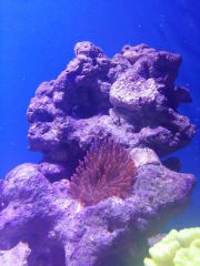 20160218_182649 (Kopiowanie).jpg