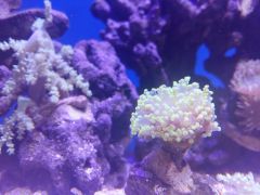 20160218_182701 (Kopiowanie).jpg