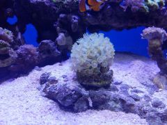 20160217 172821 (Kopiowanie)