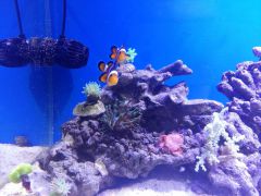 20160217 172811 (Kopiowanie)