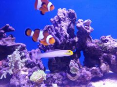 20160217 173006 (Kopiowanie)