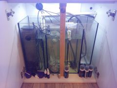 20160217 172916 (Kopiowanie)