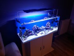 20160217 173141 (Kopiowanie)