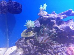 20160218_182705 (Kopiowanie).jpg