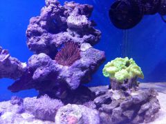 20160217 172828 (Kopiowanie)