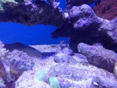 20160217 172844 (Kopiowanie)