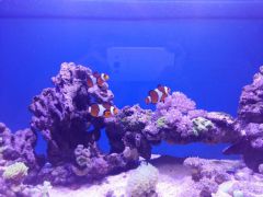 20160217 172839 (Kopiowanie)