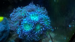 WP 20160218 18 31 27 Pro[2]