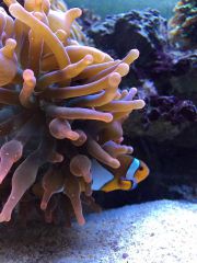 15271637 1333515336688342 239589164 O