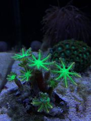 15233832 1333515250021684 610420580 O