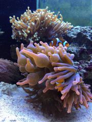 15233763 1333515180021691 641618904 O