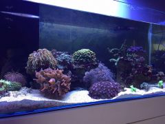 15271662 1333515380021671 315949275 O