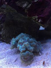 15215682 1333515353355007 1994490311 O