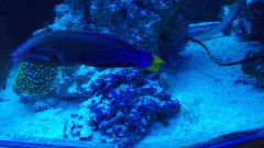 IMG 20160303 160116[1]