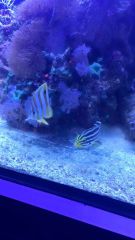 10637928 227218364296294 175250070 N