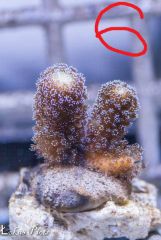 12512451 926728524089769 1490387736056237040 N