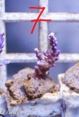 12049503 926728574089764 3021201947680799168 N