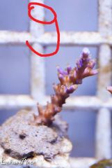 1937241 926728584089763 4789933926083607216 N