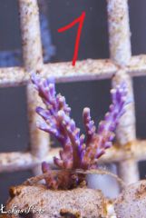 12744234 926728624089759 4249812365686773510 N