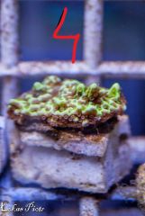 1780905 926728577423097 8021109676414322274 N