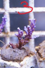 12745629 926728520756436 1745775149694258845 N