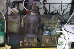 Start odpieniacz porażka