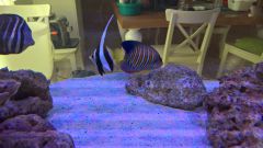 WP 20160613 10 41 34 Rich